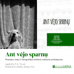 Leidinio „Ant vėjo sparnų“ pristatymas