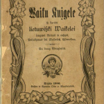 Knygelė „Waiku knįgele isz kuriôs lietuwiszki waikelei lengwei skaityti ir raszyti, prisakymus bei maldeles iszsimokina“ (1906 m.) © epaveldas.lt